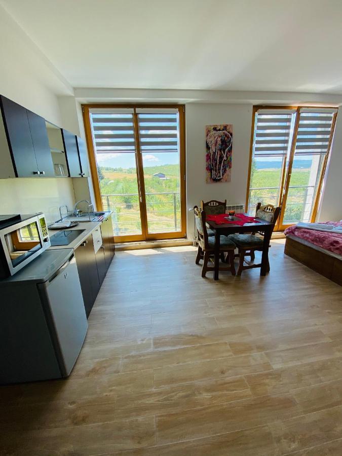 Papa Apartments Berovo Buitenkant foto