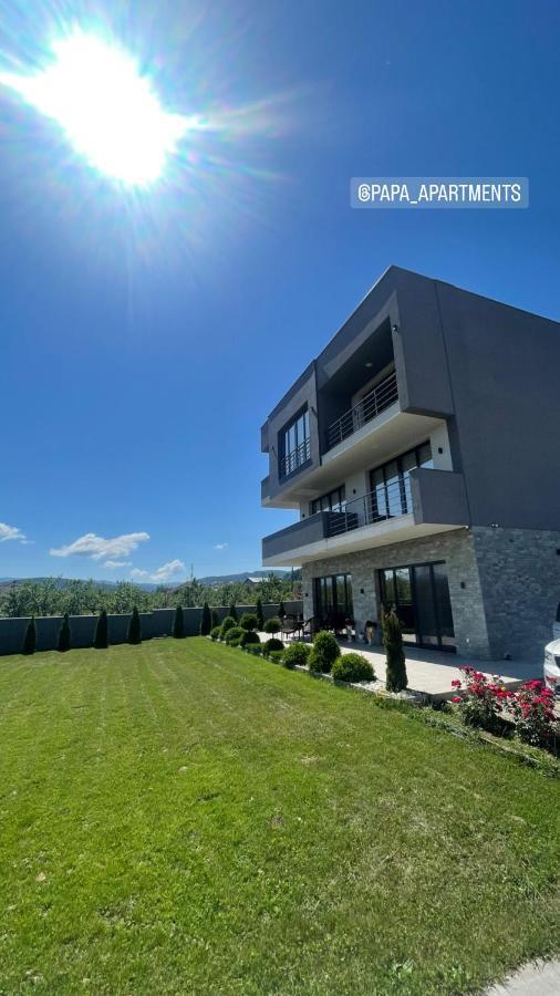 Papa Apartments Berovo Buitenkant foto